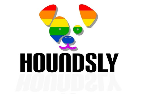 Houndsly logo